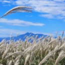 황매산군립공원 이미지