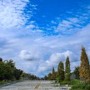 청솔파크 이미지