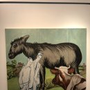 대전유아사 이미지