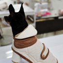 강아지 옷 만들기 이미지