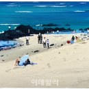 이상원 이미지