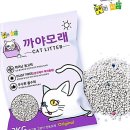 지니컴퍼니 코리아 이미지