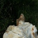 (주)화석자동차 이미지