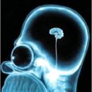 금곡헬스 이미지