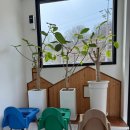 옥천농장 | 옥천 | 두빛나래 체코 굴뚝빵으로 유명한 카페, 야외테라스