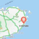 코코풀 | 제주 가볼만한곳 성산 풀파티! 코코컬처클럽 가족 방문 후기