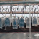 세탁 이미지