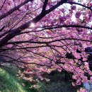 완산(완주) 이미지