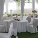 홍연남북결혼 이미지