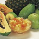 푸드딜라이트 이미지