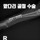 디에스동물병원