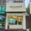 델라젬 이미지