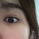 마산회원도서관 | 마산 속눈썹 회원동 속눈썹 회원동 블랙틴트펌_ 뷰티이루다