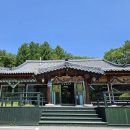 봉평메밀꽃향기 | [평창/봉평] 막국수 전문점 메밀꽃향기 솔직후기