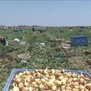 임금축산 이미지