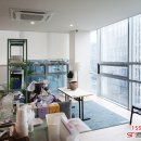 트리서비스
