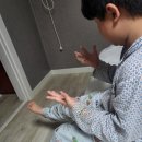 손꾸락발꾸락 이미지