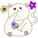 청해회타운