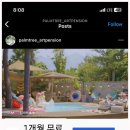 팜트리아트 이미지