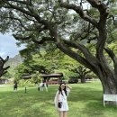 산들자동차정비 | 하와이 5박7일 기록 DAY 2 (쿠알로아랜치 이바이크 투어/바리오라멘/키킨케이준)