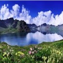 무괴아심 이미지