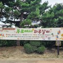 사물놀이 뿌리패 | 제3회 주민소통 공감콘서트 - 종로에서 하루살이(9.7.~9.8.) 후기