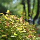 소향공원 이미지