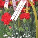 하단5일상설시장 이미지