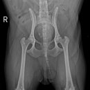 행복동물의료센터 이미지