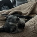 고색약국 이미지