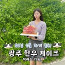 광주 소고기 한우케이크 고기파는총각들 어버이날 부모님 생신선물 스승의날 꽃 대신 한우선물세트...