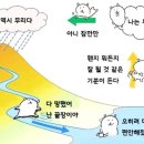 스나이델 카카오 검색결과