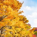 이태원로(서측) 이미지