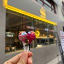 언 고기 | 화명동 고기집 두둑 솔직후기