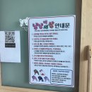 냥냥이세상 | 유기묘 고양이들과 시간을 보낼 수 있는 고양이 카페 냥냥이세상