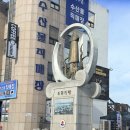 영광수산회센터 | 주문진 회포장 맛집 방파제회센터 찐수산 모둠회 포장 후기