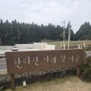 한라산아래첫마을영농조합법인 | [제주 서귀포시 한라산아래첫마을영농조합법인] 제주메밀로 만든 건강하고 맛있는 비비작작면과 물냉면...