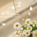 로단테(rodante)