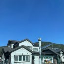 용인 수지 - 숲에서 자라는 아이들 (숲유치원/놀이학교) 상담후기