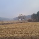 상선농장 이미지