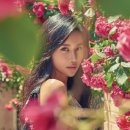 제스 이미지