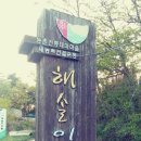 해살이 이미지
