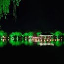 서림 행정사사무소 이미지