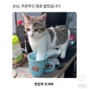 밀양아리랑우주천문대 이미지