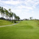 알펜시아 700 골프클럽 이미지