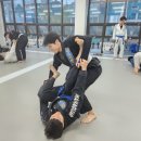 블랙캣주짓수 네이버블로그