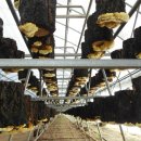 애지농장 이미지