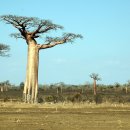 신성가스 이미지