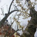 전라제과 이미지