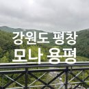 7491 | [평창 여행] 평창 모나용평리조트 그린피아콘도 숙박후기 가족여행 숙소 추천